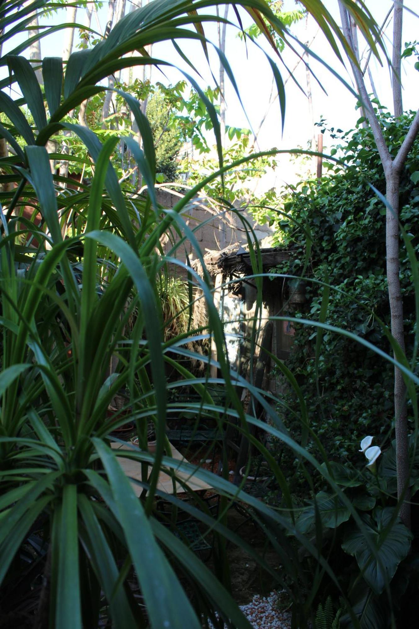 Bed and Breakfast Il Giardino Di Chiara Oristano Exteriér fotografie