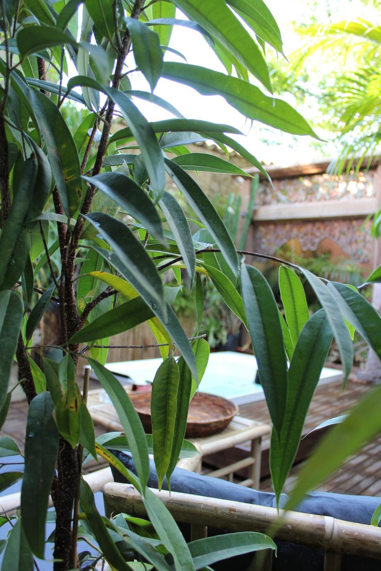 Bed and Breakfast Il Giardino Di Chiara Oristano Exteriér fotografie